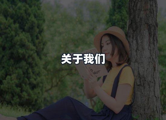 关于我们