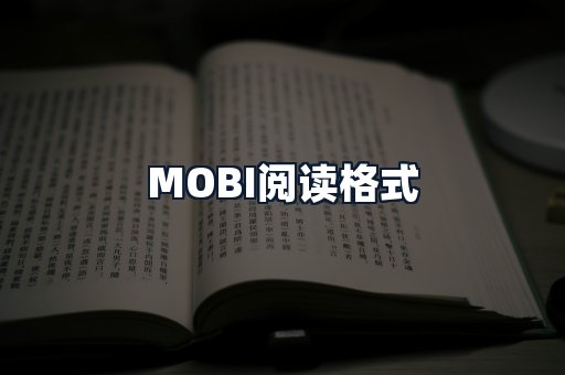 MOBI阅读格式
